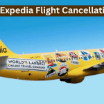 Expedia Flight Cancellation Policy