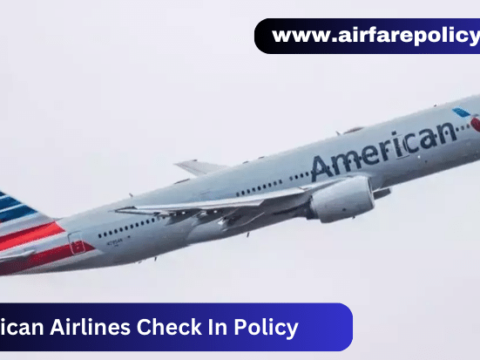 American Airlines Check In Policy