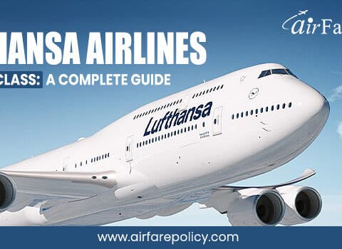 Lufthansa Airlines Business Class: A Complete Guide