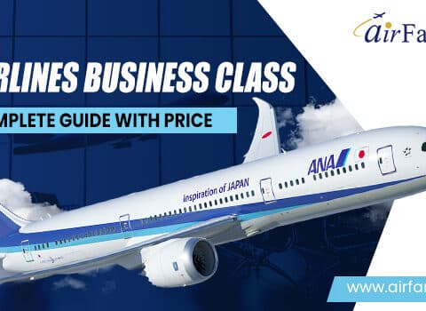 ANA Airlines Business Class: Complete Guide With Price