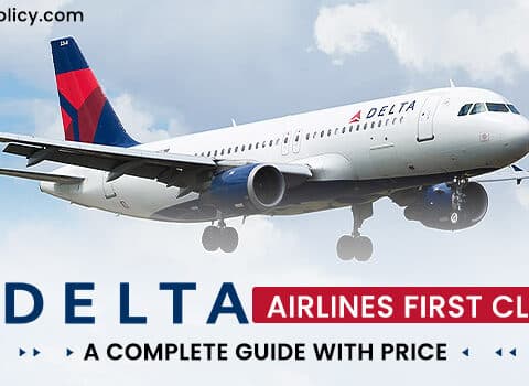 Delta Airlines First Class: A Complete Guide with Price